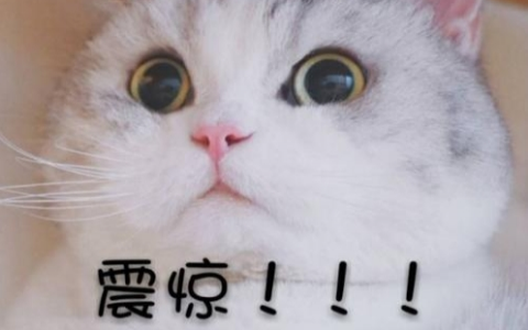 家庭裝修污染嚴(yán)重，超九成新裝住房甲醛超標(biāo)！